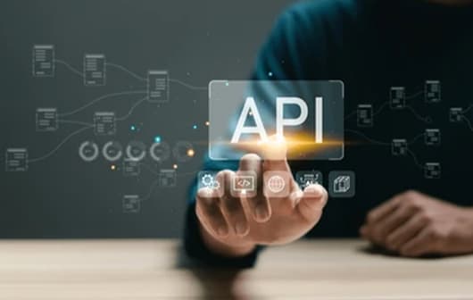 API Integration